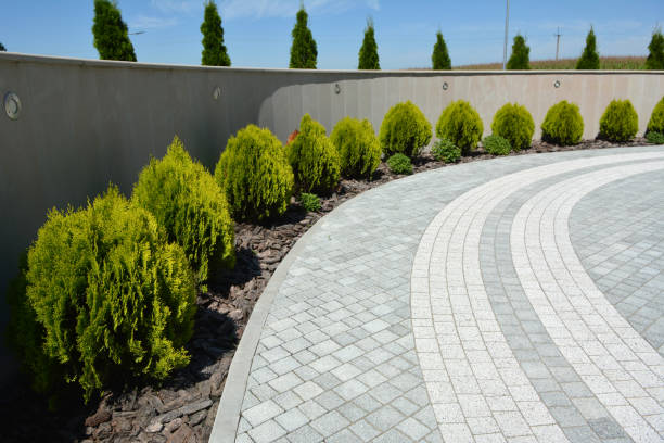 Best Driveway Paving Contractor  in Orland Hls, IL